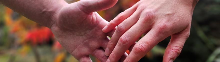 Ecologie : amours en recomposition et coeurs en transition