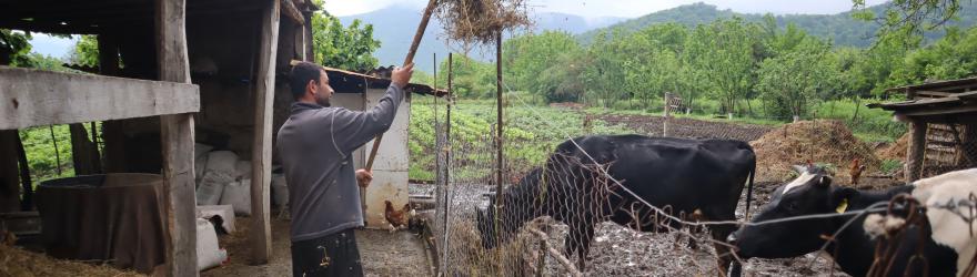 À Argokhi, la jeunesse agricole tente de résister à l'exode rural