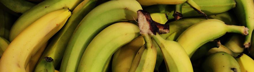 La banane mûrit au Marché Gare 