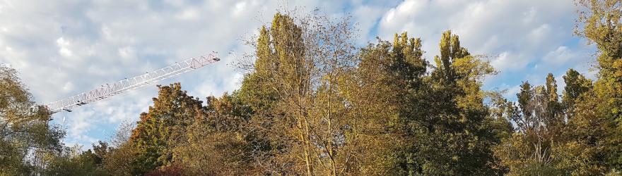 Biodiversité : ça déménage au bois de Bussière