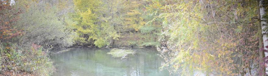 La réserve naturelle attend sa greffe de Rhin