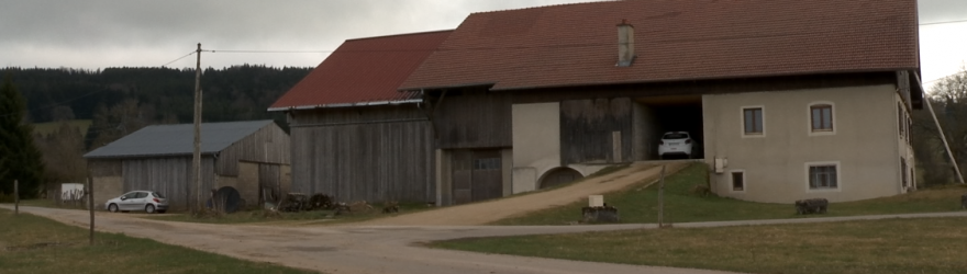 Des producteurs de lait qui ne connaissent pas la crise