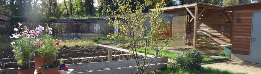 Un jardin qui peine à prendre racine