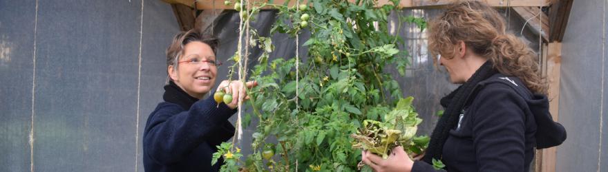 Cultiver la terre et la convivialité