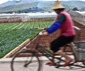 Quatre voyages dans le Yunnan (magazines-télé)