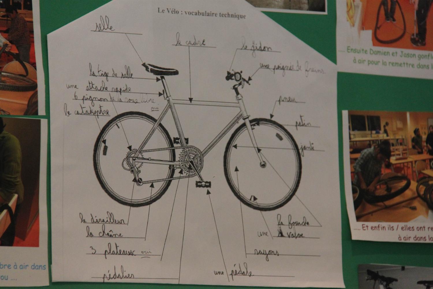 Bien comprendre le fonctionnement d'un vélo. 