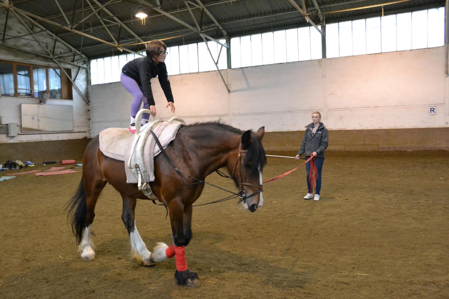 Son objectif : permettre aux chevaux et poneys retraités et réformés du Club d'avoir une retraite tranquille.