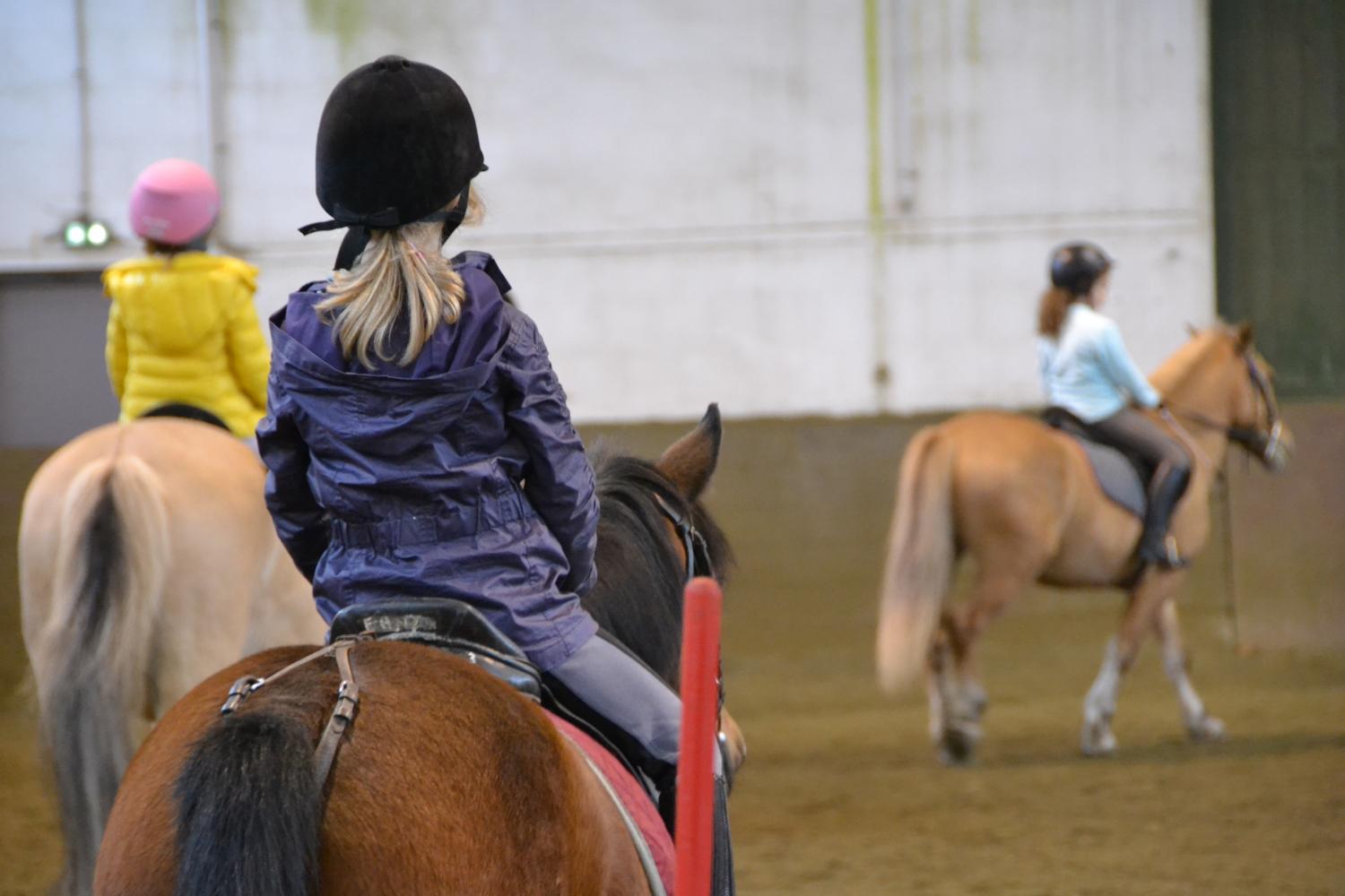 L'association Au Pré de mon cheval a été créée il y a 8 ans par deux cavalières du Club équestre de Strasbourg.