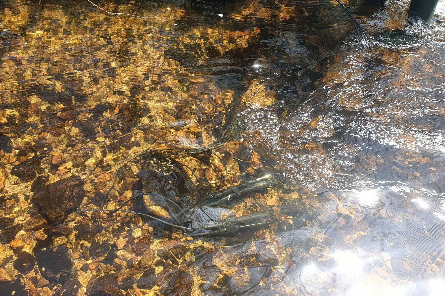 Ces sondes servent à déterminer la qualité de l’eau