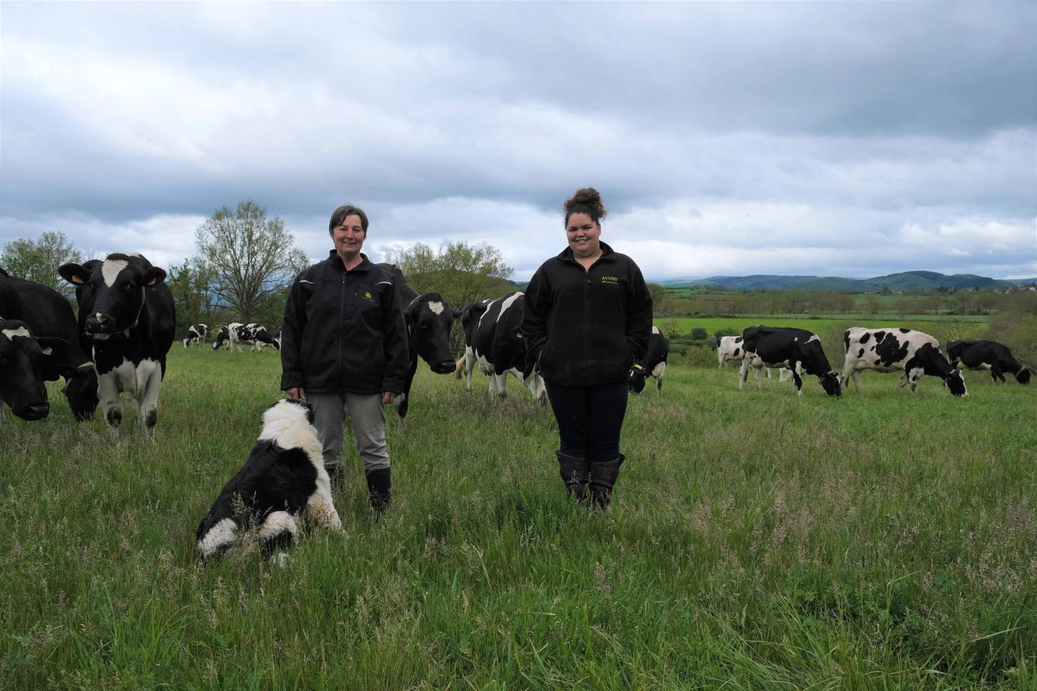 Les associées, Pauline et Eliane, viennent de lâcher leurs vaches à lait, près de leur exploitation à Couteuges