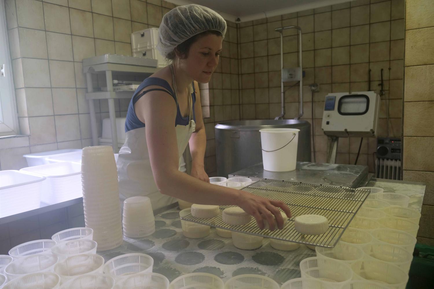 Soline se charge de transformer le lait en fromages, à Tence