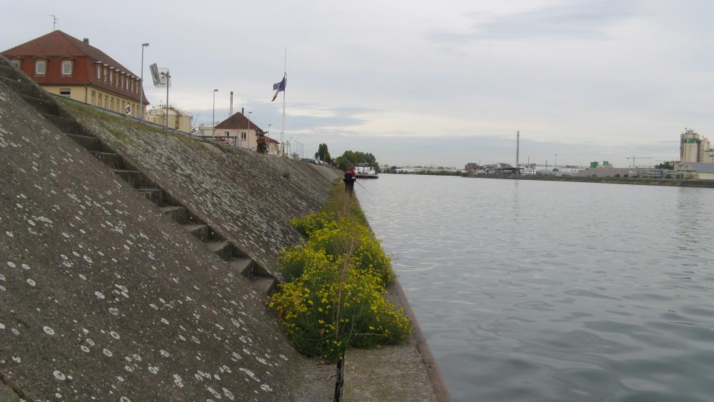 Les pêcheurs pratiquent leur passe-temps favori sur la rive du quai Jacoutot.