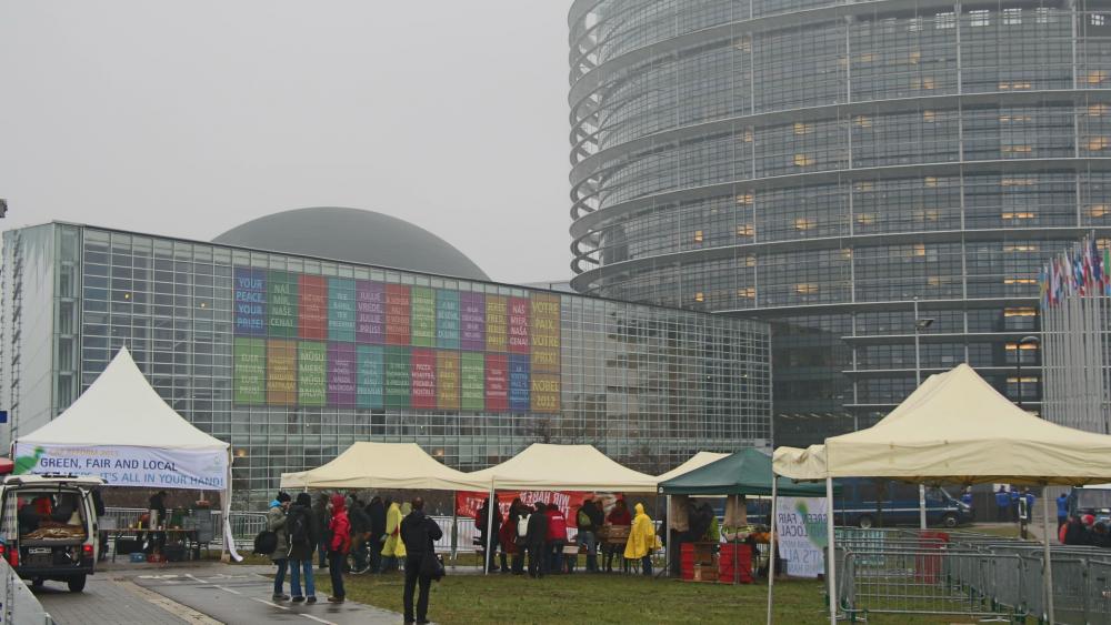 Les organisations écologiques et agricoles ont investi l'entrée du Parlement dès le matin