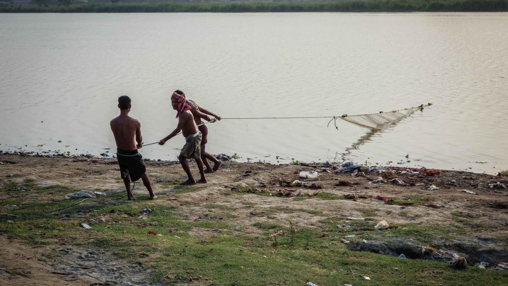 Dans ce quartier du nord de la capitale indienne, les pêcheurs jettent leurs filets à l'aube et au crépuscule. 