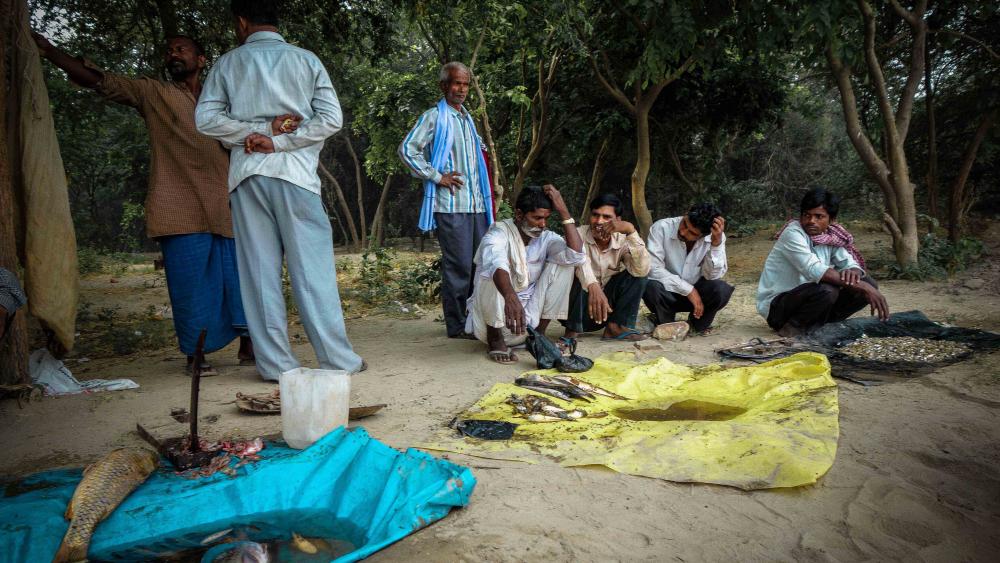 Les poissonniers refusent d'acheter le poisson de la Yamuna polluée. Seule solution, la vente directe aux habitants.