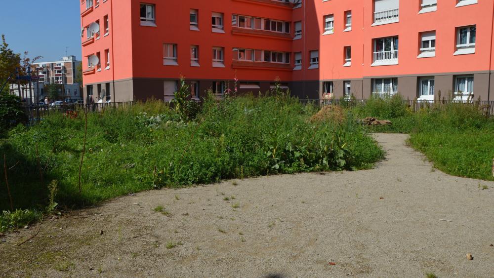 Le jardin de la maille Karine est encore en grande partie en friche.