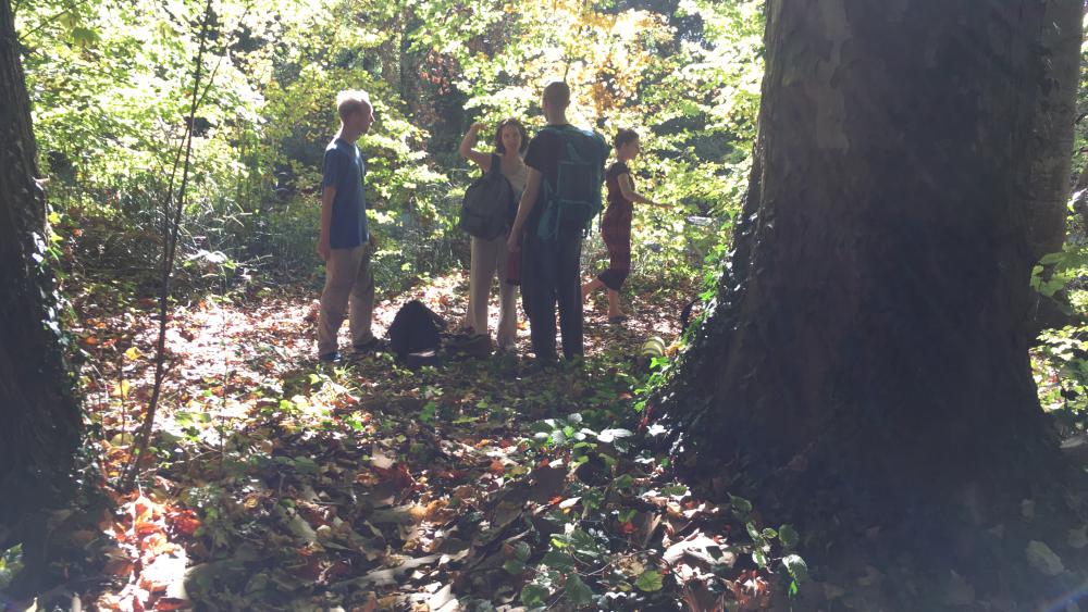 À la recherche d'un coin tranquille en pleine forêt...