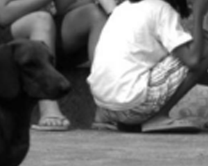 « Elles se voient plus comme des artistes que comme des filles abusées »