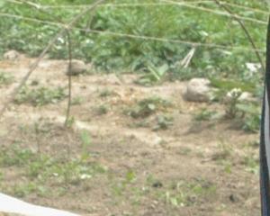 « Nous ne trouvions plus de travail depuis la chute de l'URSS »