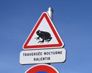 Un relogement pour les crapauds verts