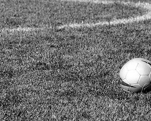 L'agenda sportif d'un week-end de grand froid