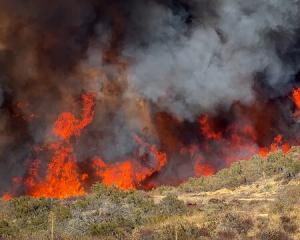 Catastrophe climatique : l’été 2025 en trois chiffres