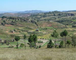 La terre des ancêtres