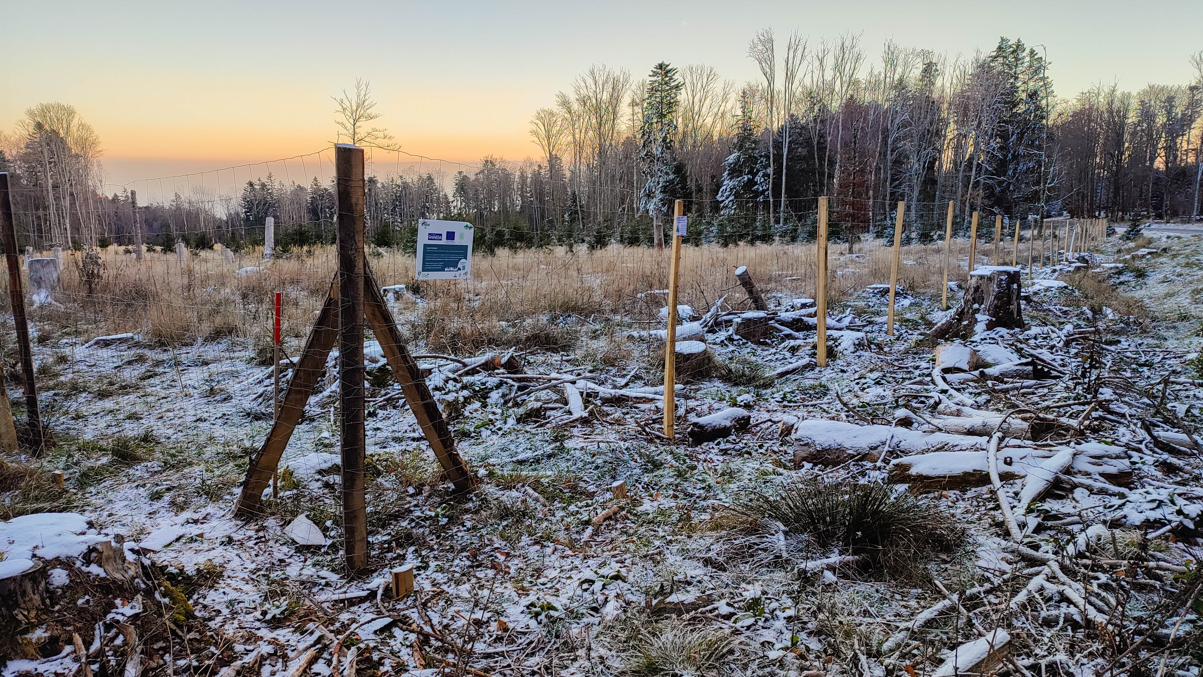 Photographie représentant un îlot d'avenir