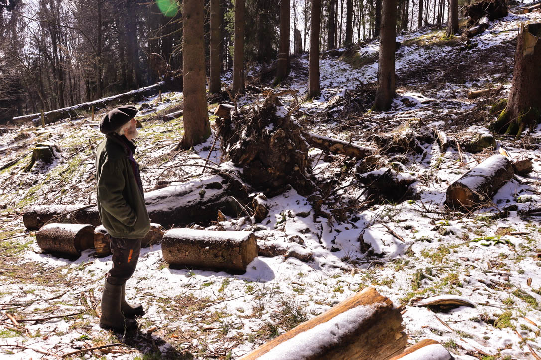 Un homme se trouve au milieu d'une parcelle de forêt où les arbres ont été coupés