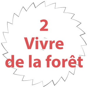 Chapitre 2 : Vivre de la forêt