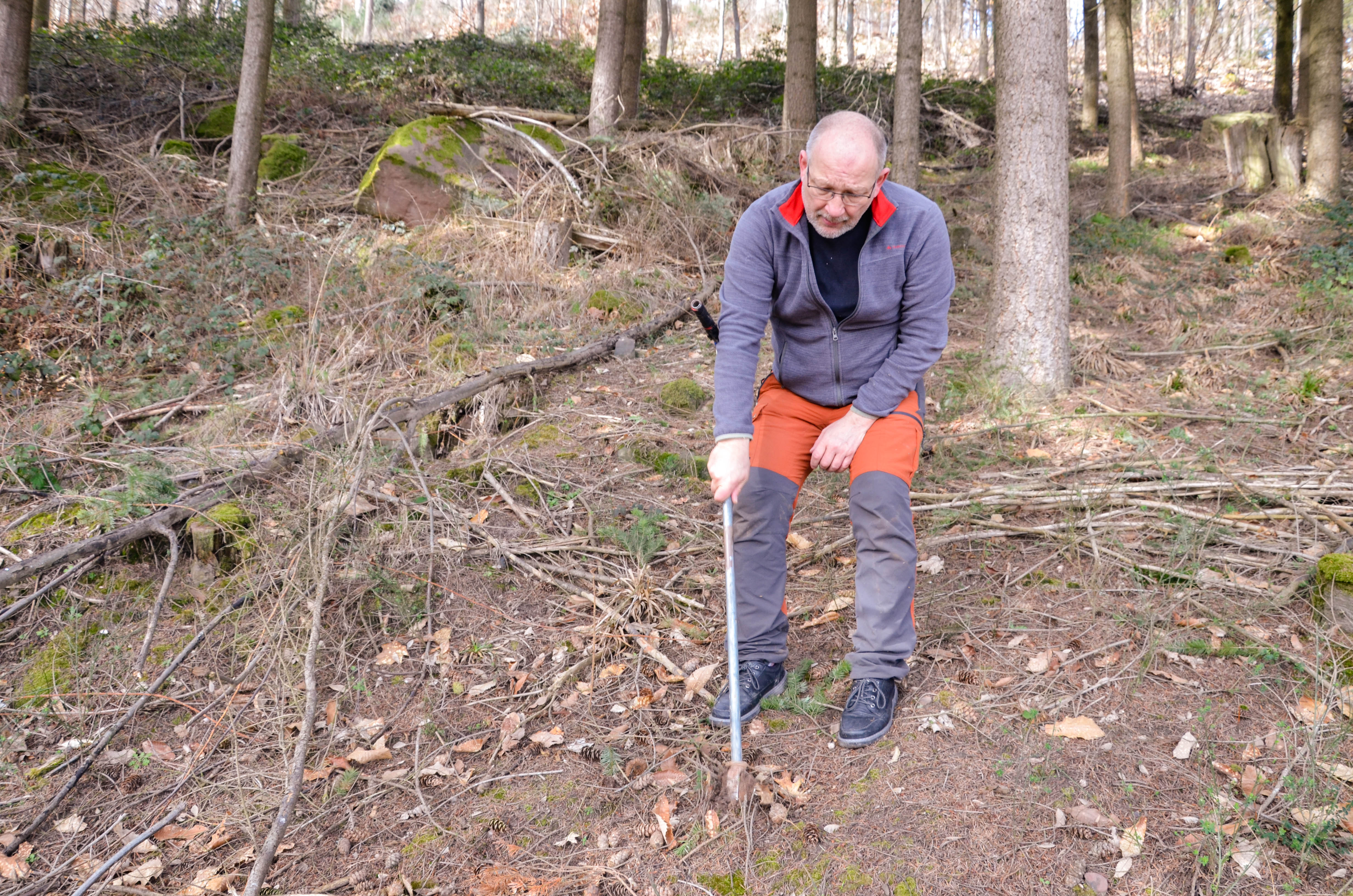 Stéphane Asael, ingénieur forestier analyse le sol pour déterminer les essences adaptées au terrain