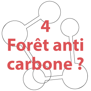 Chapitre 4 : Forêt anti carbone ?