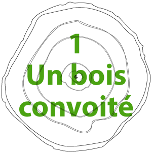 Chapitre 1 : Un bois convoité