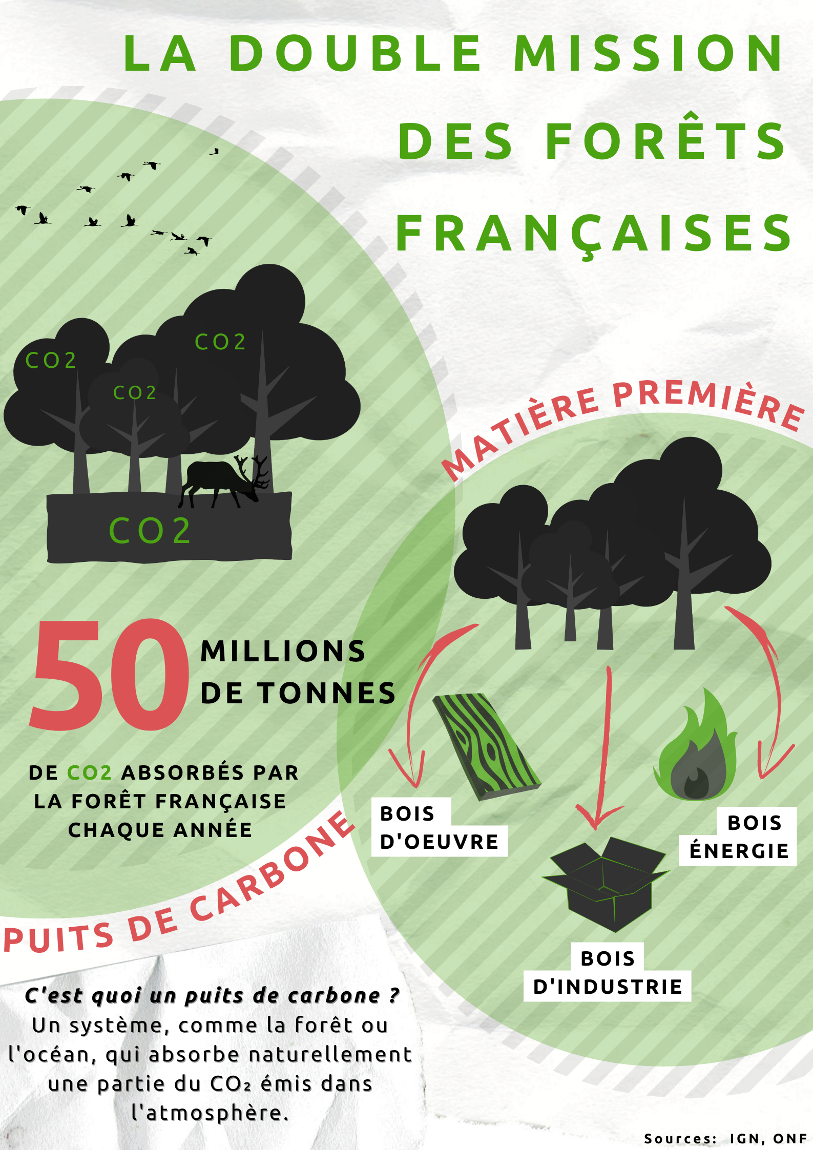 Poêles à granulés : trois industriels nous livrent leurs secrets