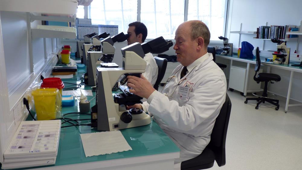 Bernard Pesson a identifié le parasite grâce à l'observation au microscope. 