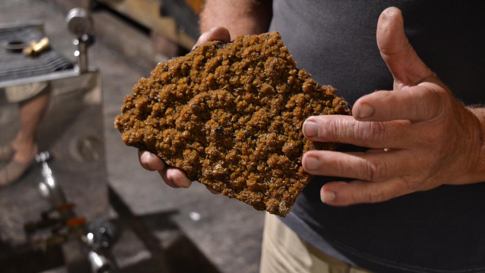Quand elles ont fini leur travail de fermentation, les levures se déposent sur ces pierres à vin, à l’intérieur des tonneaux