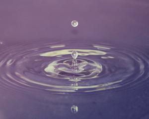 Micropolluants : « Sensibiliser les élus et les acteurs de l'eau »