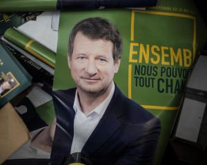 Dans le Grand-Est, l'inégale poussée des Verts