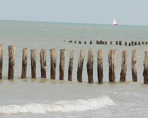 Une migrante retrouvée morte sur une plage, près de Calais