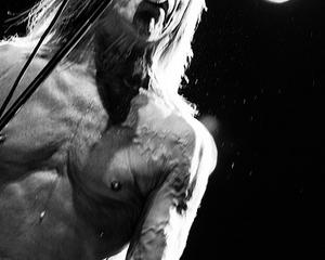 Iggy Pop et les Stooges, la mort leur va si bien