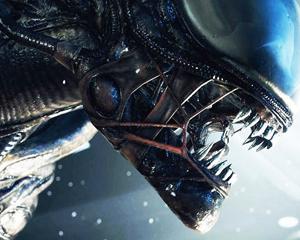 Propulsé aux commandes d'Alien 5 grâce à Instagram