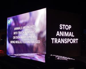 Import, export, transport : le bien-être des animaux divise au sein de l'Europe