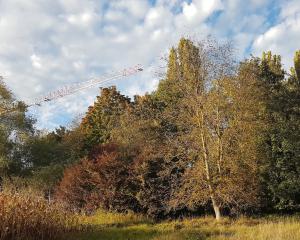 Biodiversité : ça déménage au bois de Bussière