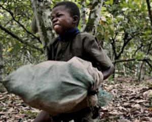 Cacao: stop au travail des enfants