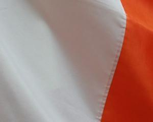 Incertitude après les élections législatives en Irlande