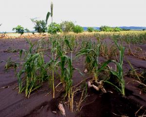 Le choc climatique exacerbe la faim dans le monde