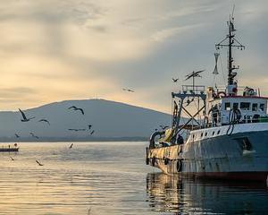 Passe d’armes sur la pêche à Bruxelles
