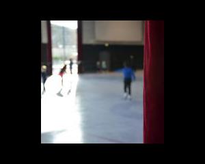 Le président de la fédération des sports de glace droit dans ses patins